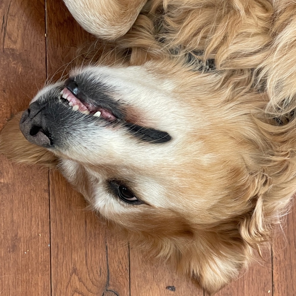 Meet your Posher, Galaxy